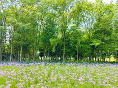 -中国天府农业博览园