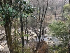 -秦岭终南山世界地质公园翠华山景区