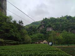 -十九峰景区-倒脱靴