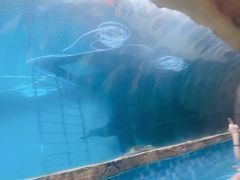 -波塞冬旅游度假区