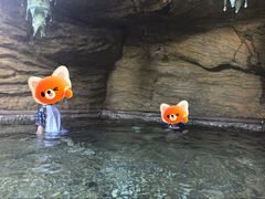 -海口观澜湖火山温泉谷