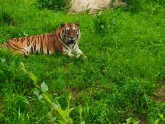 -沈阳森林动物园