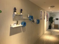 -净妍美肌专业净毛嫩肤连锁机构