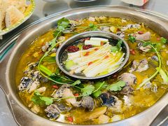 -黑河坝泡姜鸡贡椒鱼(贾旗路店)