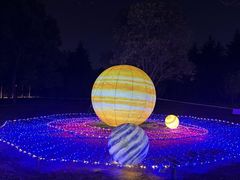 -洛阳市隋唐城遗址植物园