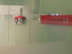 -CGWANG王氏教育(重庆校区)