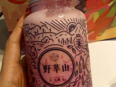 -野萃山·潮汕厚果汁(十亩地店)