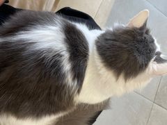 -怪兽屋·羊驼·猫咖·狗咖(俊华广场店)