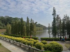 -三水森林公园