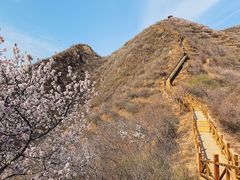 -大岭沟猕猴桃谷风景区