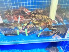-渔夫蒸鲜(世奥湾店)