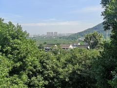 -树山生态村