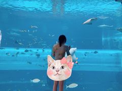 -亚特兰蒂斯水世界冒险乐园