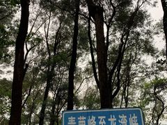 -滴水岩森林公园
