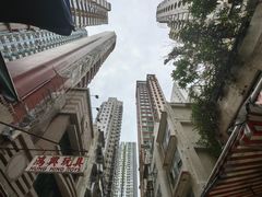 -鸿兴玩具