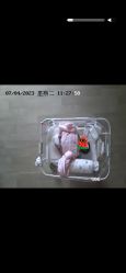 -国健母婴护理中心(经开院)