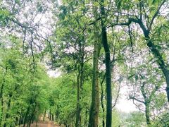 -迪卡侬(民族东店)