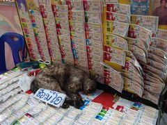 -唐人街(耀华力路)