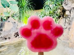 -郑州银基黄帝宫御温泉