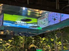 -大头椰·椰子鸡火锅(南宁万象城店)