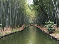 -同里国家湿地公园