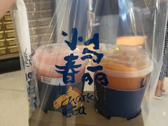 -春丽小马(济南恒隆广场店)