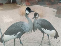 -洛阳龙门海洋馆