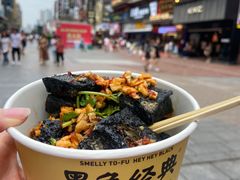 -黑色经典臭豆腐·湖南特产(步行街店)