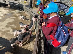 -前小桔亲子创意农场·草莓采摘·露营烧烤