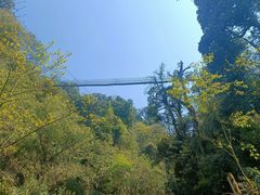 -大围山国家森林公园