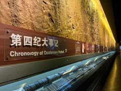 -大庆市博物馆