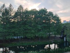 -尚贤河湿地