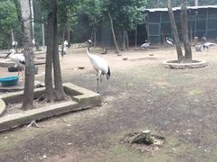 -哈尔滨北方森林动物园