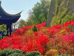 -老门东历史文化街区