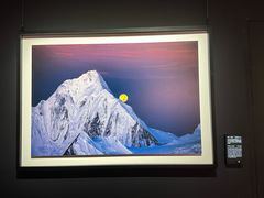 -罗红摄影艺术馆