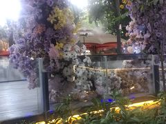 -二荆条·蜀鲜汇城市森林火锅