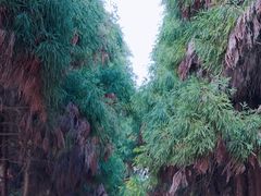 -都江堰景区