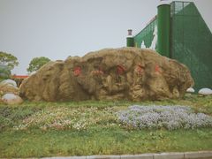 -上海都市菜园