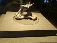 -世界恐龙谷景区