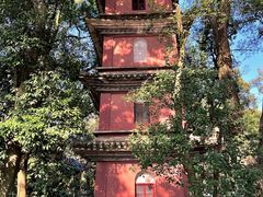 -阿育王寺
