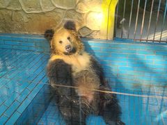 -荆州中山公园动物园