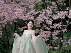 -南山植物园