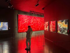 -罗红摄影艺术馆