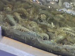 -大众海鲜(巨龙北路店)