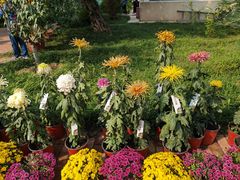 -国家植物园南园