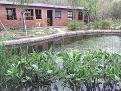 -白水寺森林公园