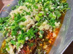香辣炝锅鱼-树厨贵州菜(大十字店)