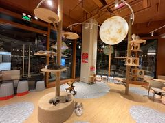 -米乐乖乖猫咪咖啡馆·猫咖(深圳湾后海汇店)