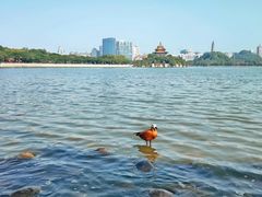 -顺峰山公园