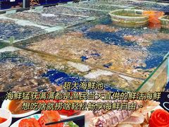 -小海豚·老字号海鲜餐厅(三亚湾店)